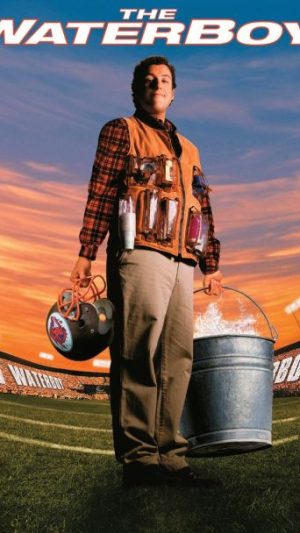 The Waterboy - DVD